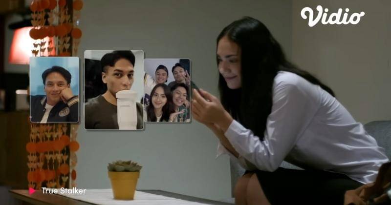 Dok. Vidio/True Stalker